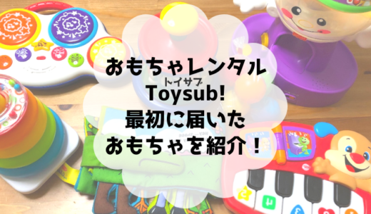 知育玩具レンタル「Toysub!(トイサブ)」最初に届いたおもちゃと反応まとめ